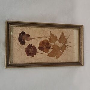 #3 Nice 9" x 5" Pressed Plant Picture